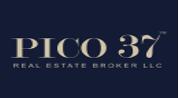 PICO37 Real Estate Broker LLC logo image