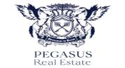 Pegasus Real Estate LLC logo image
