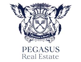 Pegasus Real Estate LLC