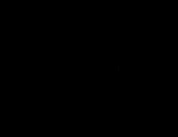 DG Capital Real Estate Broker LLC SOC logo image