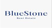 Blue Stone Real Estate logo image