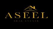 Aseel Real Estate logo image