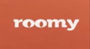 ROOMY REAL ESTATE logo image