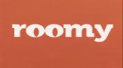 ROOMY REAL ESTATE logo image