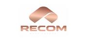 Recom Real Estate L.L.C logo image