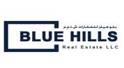 Blue Hills Real Estate LLC logo image