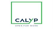 CALYP COWORKING BUSINESS CENTERS logo image
