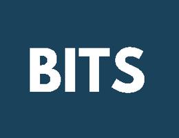 BITS Real Estate Brokers L.L.C.