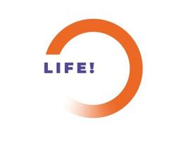 ORANGE LIFE REAL ESTATE L.L.C ORANGE LIFE REAL ESTATE L.L.C