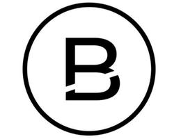 BOND HOMES REAL ESTATE L.L.C BOND HOMES REAL ESTATE L.L.C