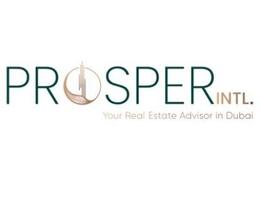 PROSPER INTL REAL ESTATE L.L.C