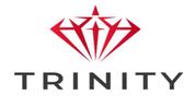 TRINITY REAL ESTATE L.L.C logo image