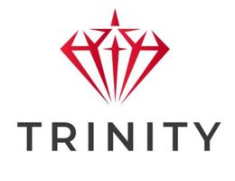 TRINITY REAL ESTATE L.L.C