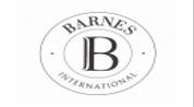 Barnes International Realty logo image