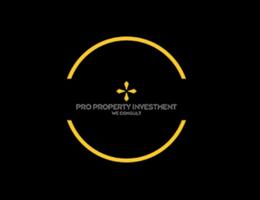 PRO PROPERTY INVESTMENT - SOLE PROPRIETORSHIP L.L.C.