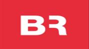 BRIGHT RICH REAL ESTATE L.L.C logo image