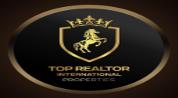 TOP REALTOR INTERNATIONAL PROPERTIES logo image