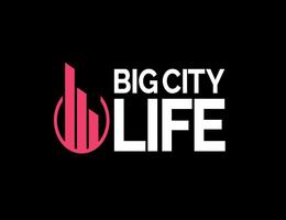 BIG CITY LIFE REAL ESTATE L.L.C