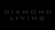 DIAMOND LIVING REAL ESTATE L.L.C logo image DIAMOND LIVING REAL ESTATE L.L.C logo image