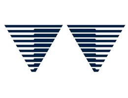 WORLDFIELD REAL ESTATE L.L.C