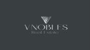 V NOBLES REAL ESTATE L.L.C logo image