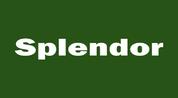 Splendor Real Estate Brokerage L.l.c logo image