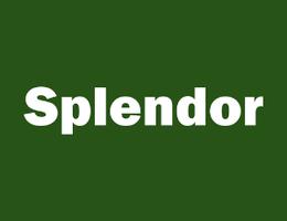 Splendor Real Estate Brokerage L.l.c