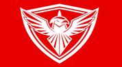 Falcon Heights Properties FZC logo image