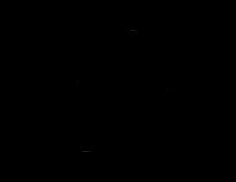 SABA I N V REAL ESTATE L.L.C