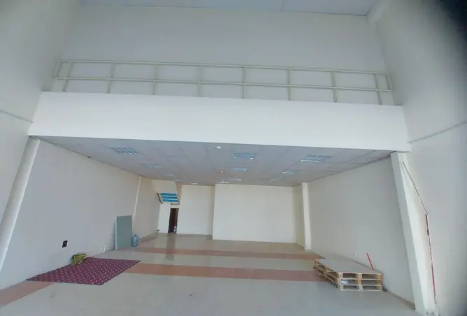16185956 - Property Image 2