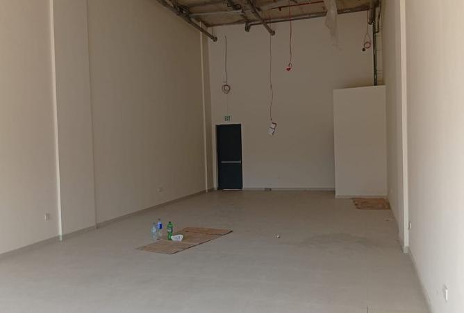 142849147 - Property Image 3