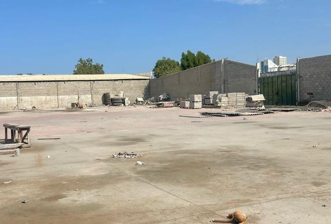 13595027 - صورة العقار 2