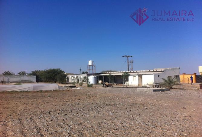 13633337 - صورة العقار 3