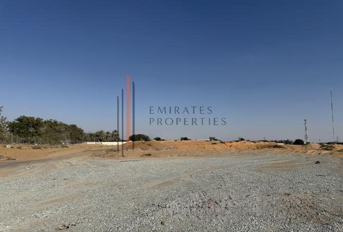 13657857 - Property Image 2