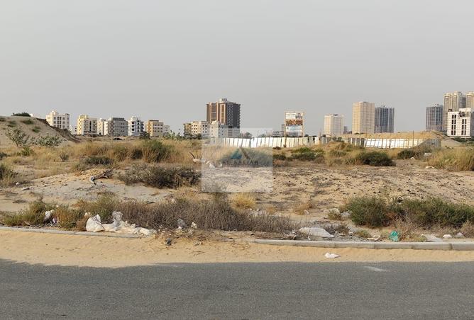 13029359 - صورة العقار 3