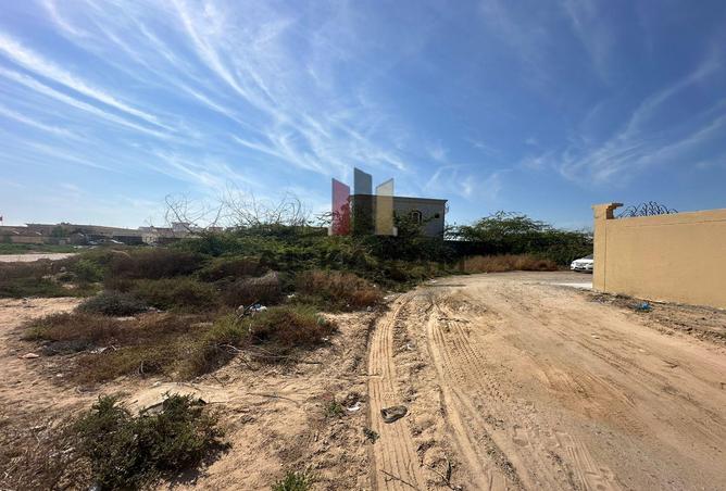 11090598 - صورة العقار 2