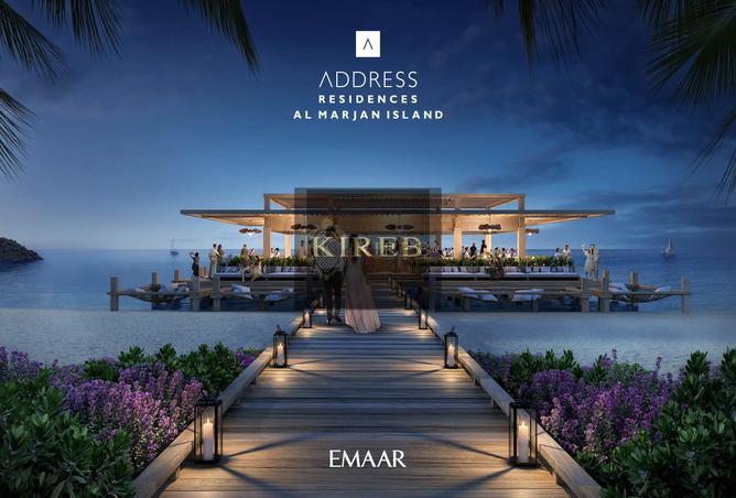 11558522 - صورة العقار 3