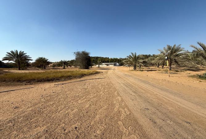 14007652 - صورة العقار 3