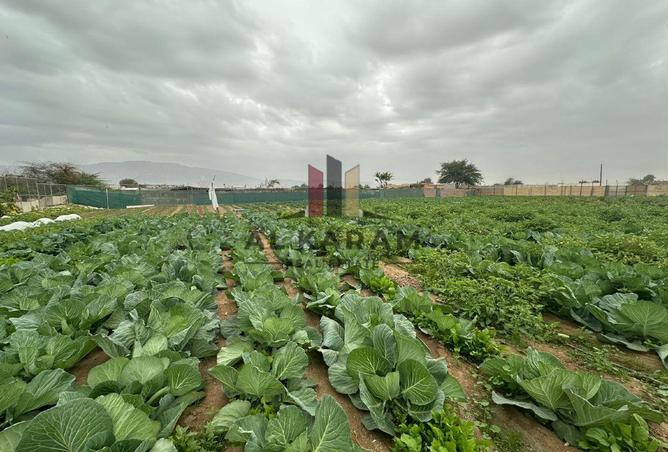 13616780 - Property Image 2