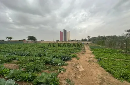Farm - Studio for sale in Al Salihia - Ras Al Khaimah