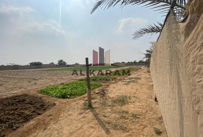 13616780 - صورة العقار 3