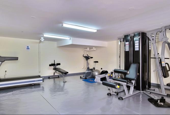 16127748 - Property Image 3