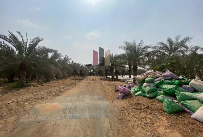 11022208 - الصورة الرئيسية للعقار