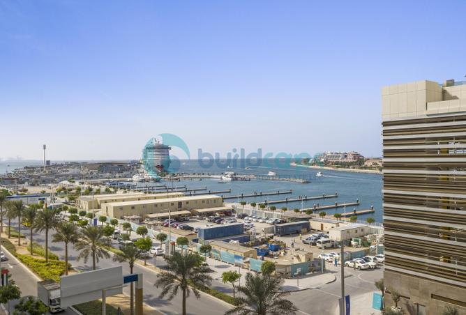 11739456 - صورة العقار 3