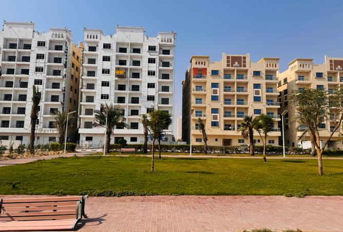 13917453 - صورة العقار 3