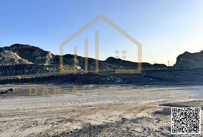 13919266 - صورة العقار 2