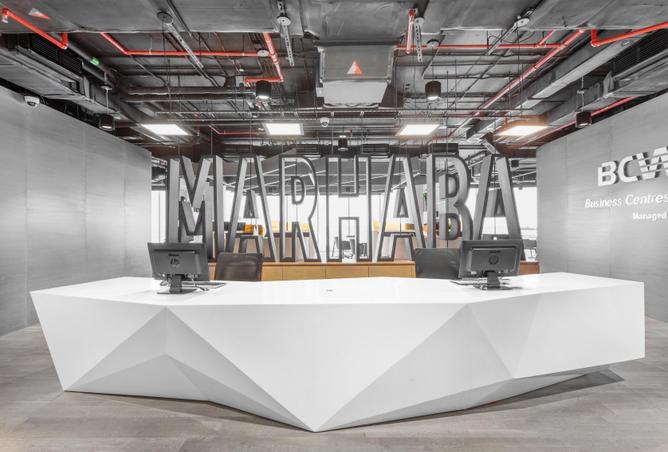 10045455 - صورة العقار 2