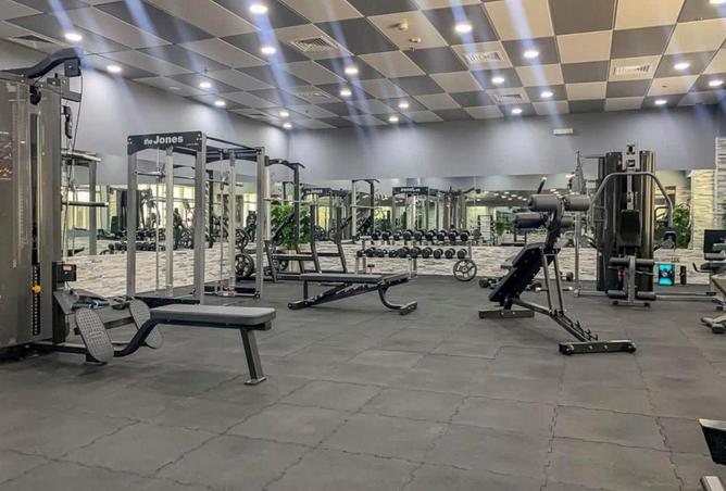 13243260 - صورة العقار 2