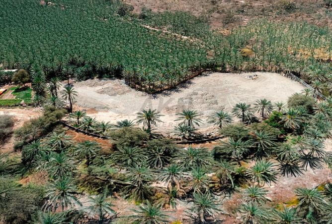 13969119 - Property Image 2