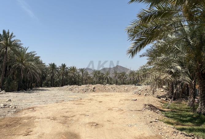 13969119 - Property Image 3